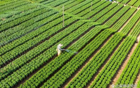 归农商城：吴晓波频道说归农蒋宪彬崇尚真实