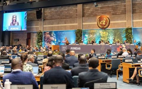 联合国环境大会召开在即！共商全球突出环境问题