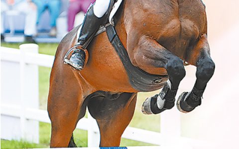 共赴全运之约，粤港澳三地携手办赛开启新篇——体育为媒 融合加速（潮涌大湾区）