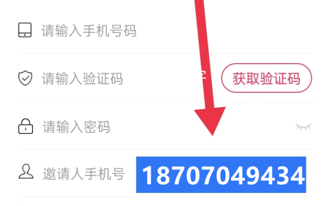 闪电宝plus邀请人手机号怎么填？（已回答）