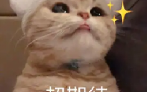 良瑜之恋音乐剧将在金佛山正式出演！！！