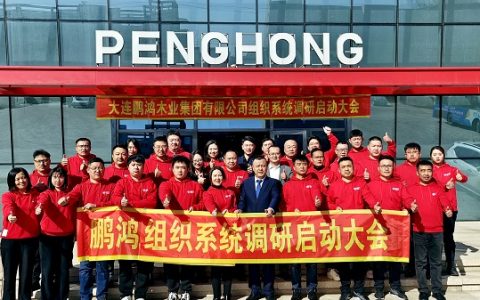 未来被重塑 鹏鸿启动组织系统共创战略