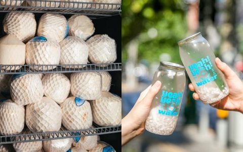 椰呀呀·活力椰子水，在茶饮市场突出重围