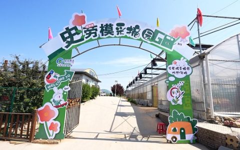 “小”樱桃托起“大”产业 尖草坪樱桃采摘节引八方来客
