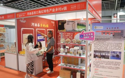 南京糖酒会开幕 河曲县乡村e镇强势出击