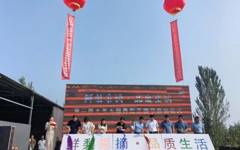 太原小店王吴村2000亩玉露香梨熟了