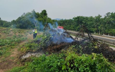 高速公路护栏边上随意焚枝，交通执法人员严厉批评教育