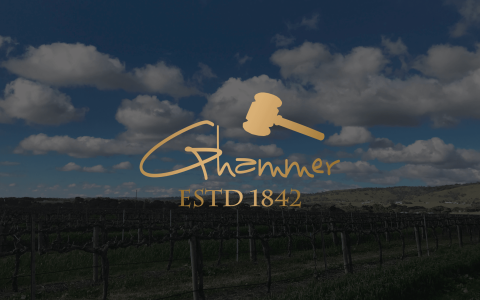 如何分辨真假金锤干红葡萄酒?