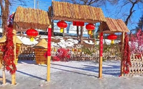 山西师范大学经管学院三下乡小分队赴大梨树村社会实践