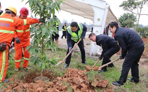 队企协作添新绿 党建引领美环境