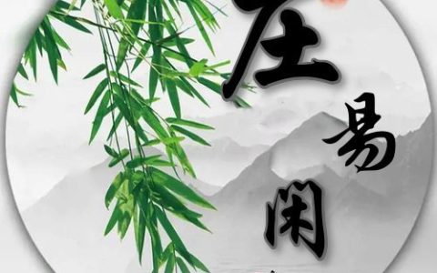 庄易闲个人简介