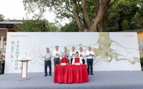 中国平安发布“绿美广东·平安古树守护行动” 为广东古树名木提供超2600万风险保障