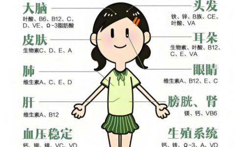 南宋粮仓：致力于解决隐性饥饿 誓做功能农业的践行者