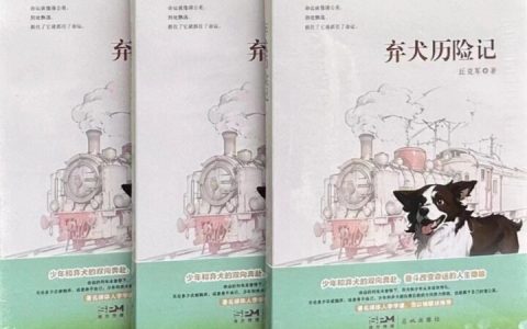“剧本杀”情节与“小说散文化”笔法——丘克军与《弃犬历险记》