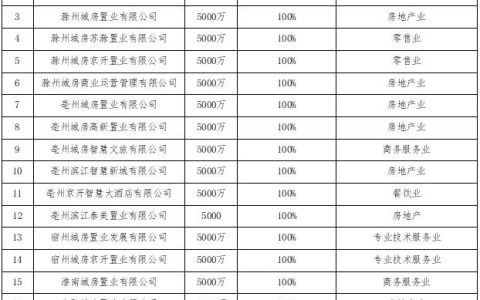 合肥城房投资集团有限公司以创新为翼，助力城市未来发展