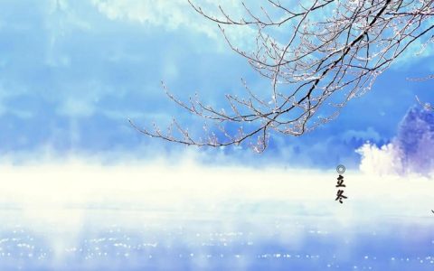 深秋立冬，觅伊聊天暖人心