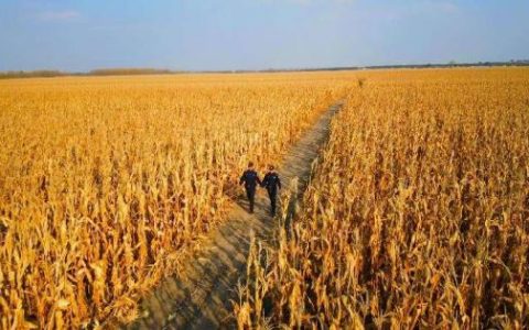 冰城公安守护绿色生态 当好耕地“守仓人”