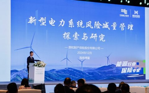 鼎力赋能源 新电引未来 ——“能源行业保险专家”鼎和保险精彩亮相 第五届新型电力系统国际论坛