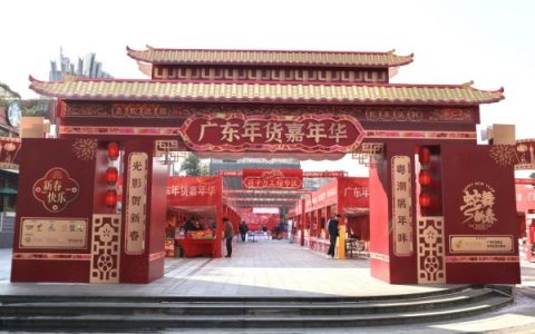 粤潮新春，光影贺岁：2025广东年货嘉年华盛大开幕