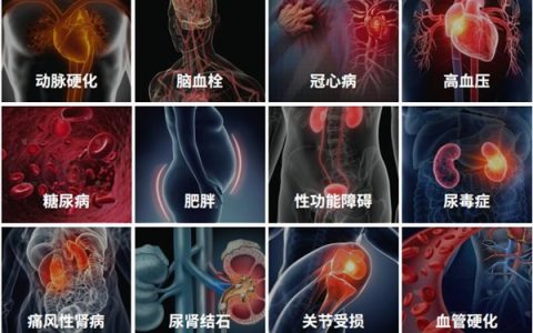 定海神珍携轻苏安多肽益生菌 创新突破降酸科技 助力健康中国