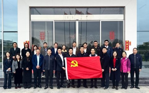美思康宸党支部述职：强基固本抓党建，凝心聚力促发展