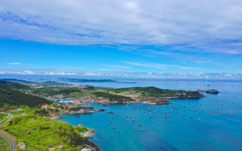 长海海螺，鲜味崛起，璀璨未来