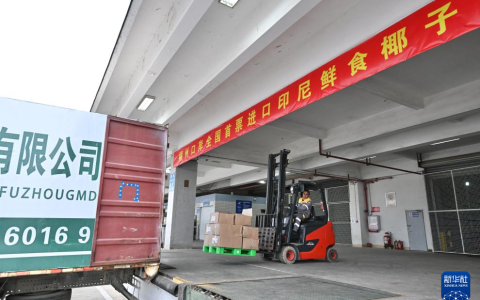 中国首票进口印尼鲜食椰子落地福州