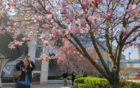 “踏青+”释放文旅消费潜力