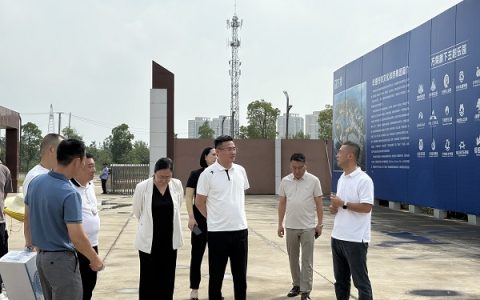 星光控股集团布局荆州文旅产业 董事局主席徐春垒带队考察纪南文旅区‌