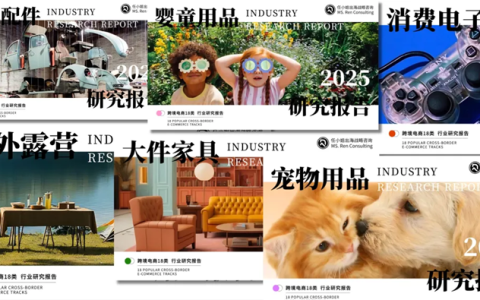 把握跨境零售新格局，任小姐出海战略咨询发布《2025年跨境电商品类研究报告》