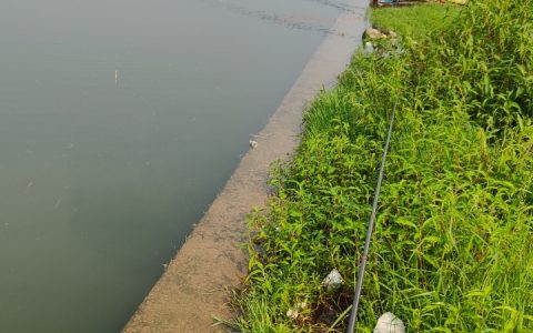 国家法案敲定：对不起，这一次我们终于能读懂钓鱼佬了