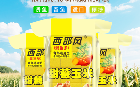 钓鱼佬：我的爱好“国家认证”，这次老婆无话可说！