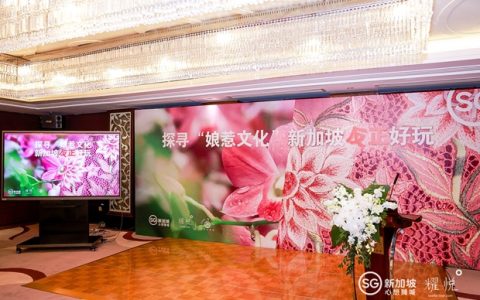 探寻娘惹文化，新加坡反正好玩 | 耀悦举办新加坡高端文化旅行分享会