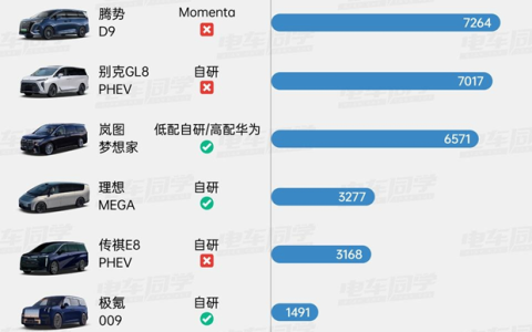 谁是2025辅助驾驶的交付黑马？销量数据指向元戎启行