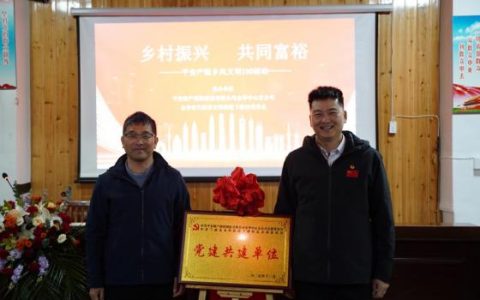 党建共建助力乡村振兴 平安产险“乡风文明100行动”落地兰溪下潘村