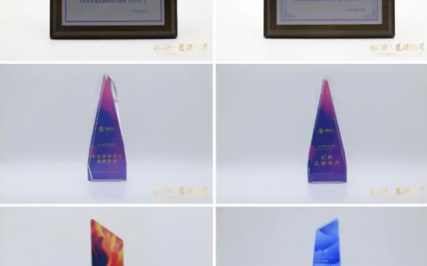 武汉微超信息咨询有限公司荣获“2025年度诚信服务典范企业”殊荣，斩获多项认可