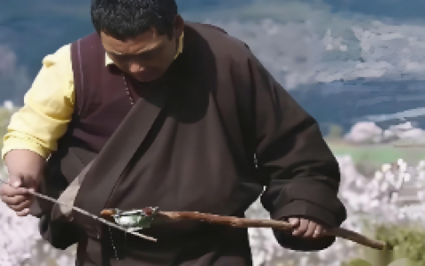 藏医执着于尝尿看诊的背后，是传承千年的智慧与仁心