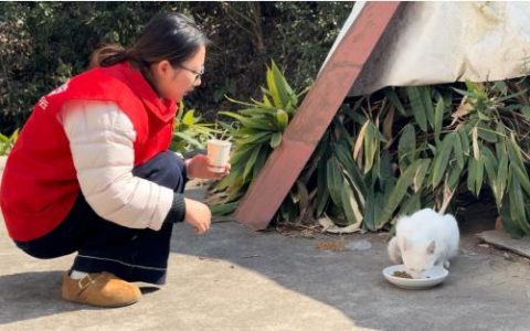 “喵星”驿站：一位平安志愿者的四百天守护日志