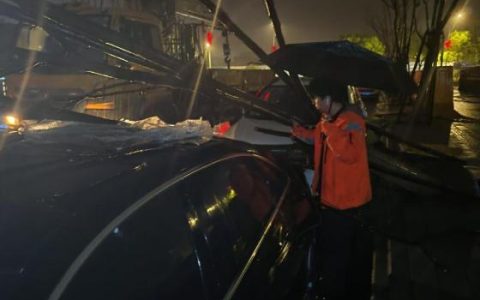 平安产险金华中心支公司：于笔墨光影间，照见平安的温度与坚守