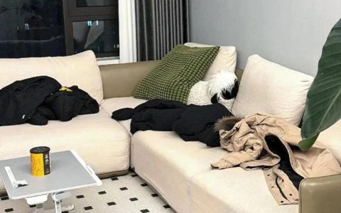 回家脱下来的衣服别再扔沙发上了!学学上海人的做法，那才叫高级