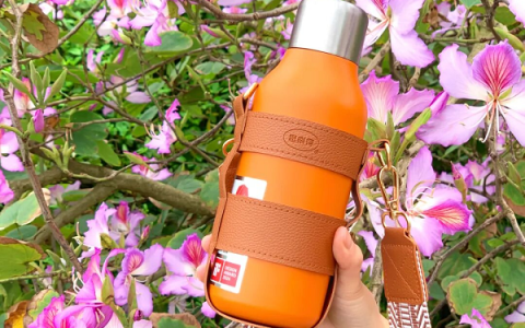 春野拾趣，杯盏生暖｜思乐得随行好物，陪你奔赴春日好风光