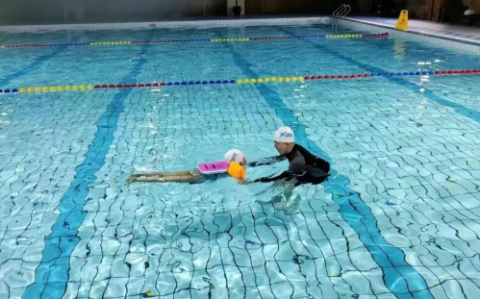 悦游游泳培训秦皇岛门店：专业双证教学，全龄段安心学游泳