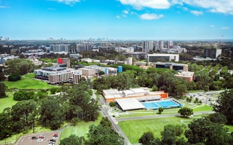 麦考瑞大学的城市绿洲成绩单