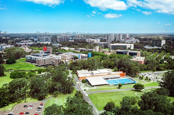 麦考瑞大学的城市绿洲成绩单