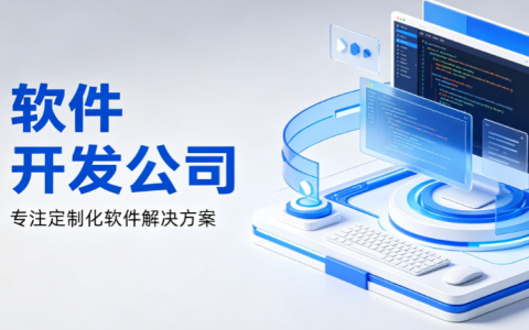 长沙软件开发公司实力口碑排名，驱动型市场自然分化