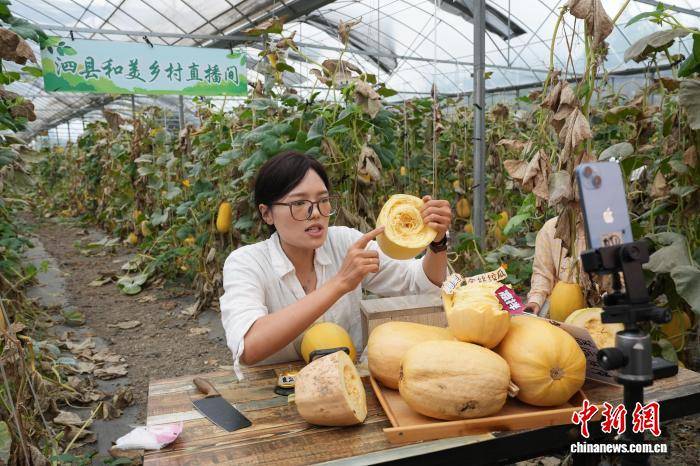 （走进中国乡村）“中国金丝绞瓜之乡”掘金全产业链