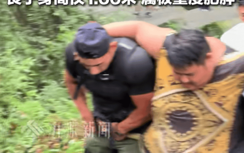 身高166cm体重343斤的网红“良子”登峨眉山晕倒，朋友称其无大碍，景区回应