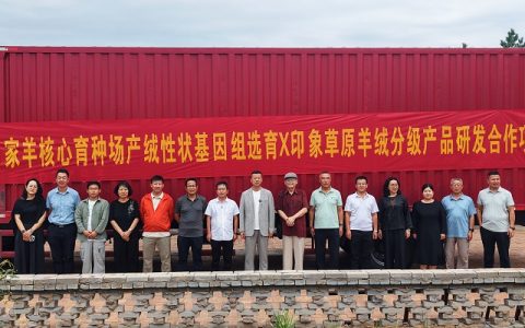 印象草原羊绒分级产品研发X国家羊优质基因培育合作项目正式启动！