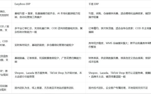 东南亚多平台多店铺推荐使用哪个ERP？