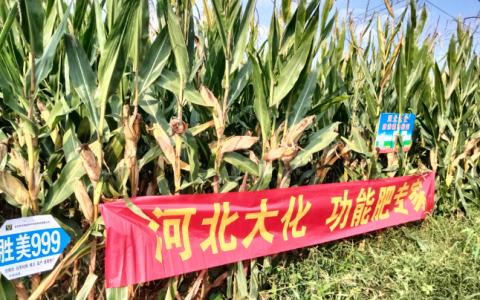 作物缺素、硅钙镁、中微量元素肥料怎么选？缺素矫正用肥方案